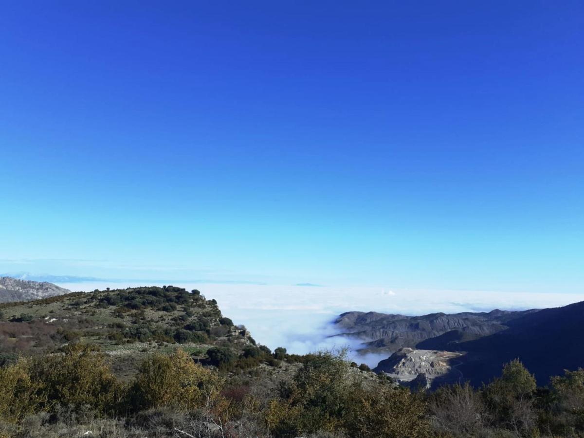 Casas de trevijano Cañon del rio leza jardin y barbacoa Soto en Cameros Exterior foto